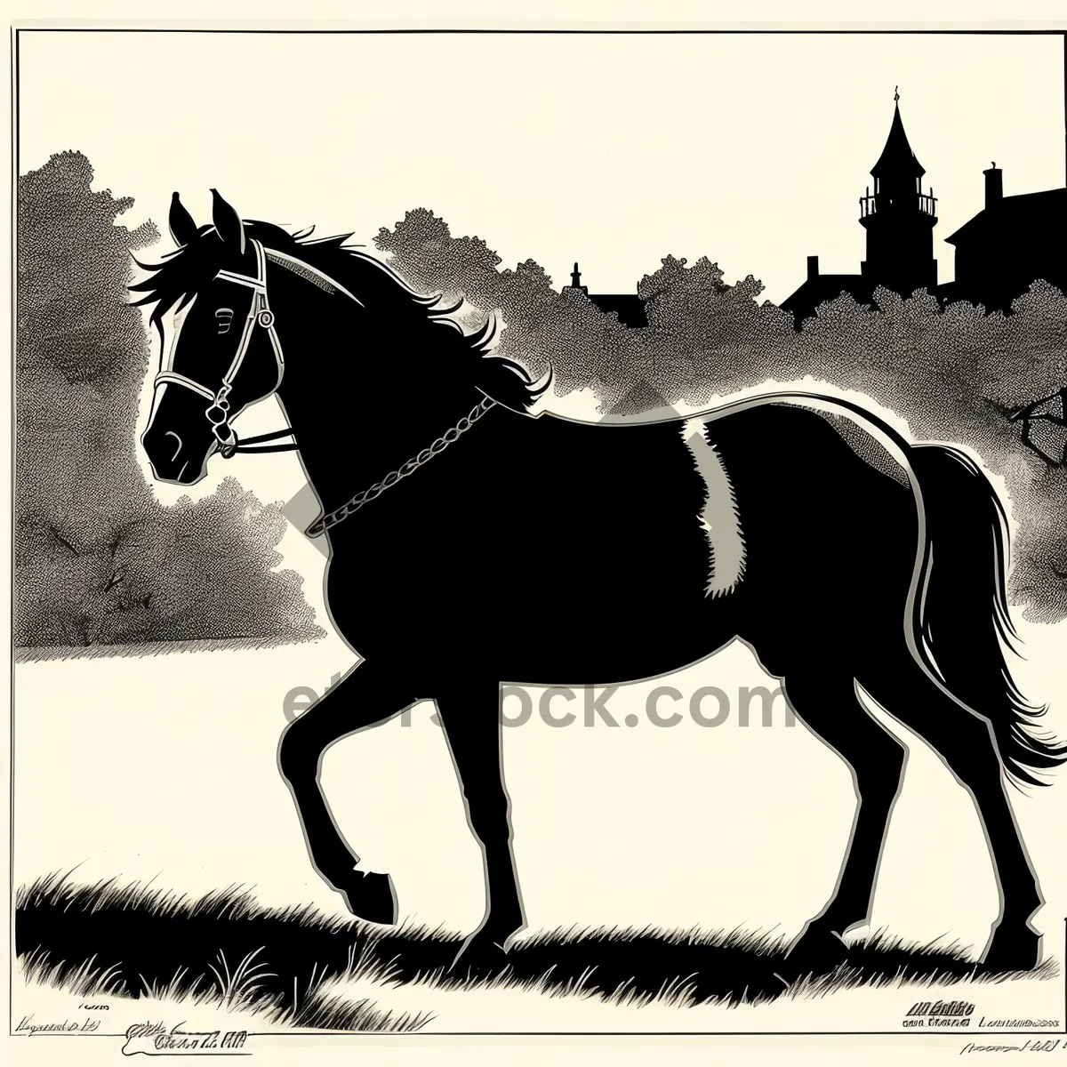 Picture of Black silhouette of a majestic horse in the field.