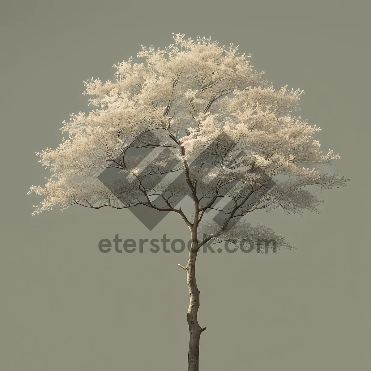 Picture of Winter Wonderland: Cow Parsley in Snowy Landscape