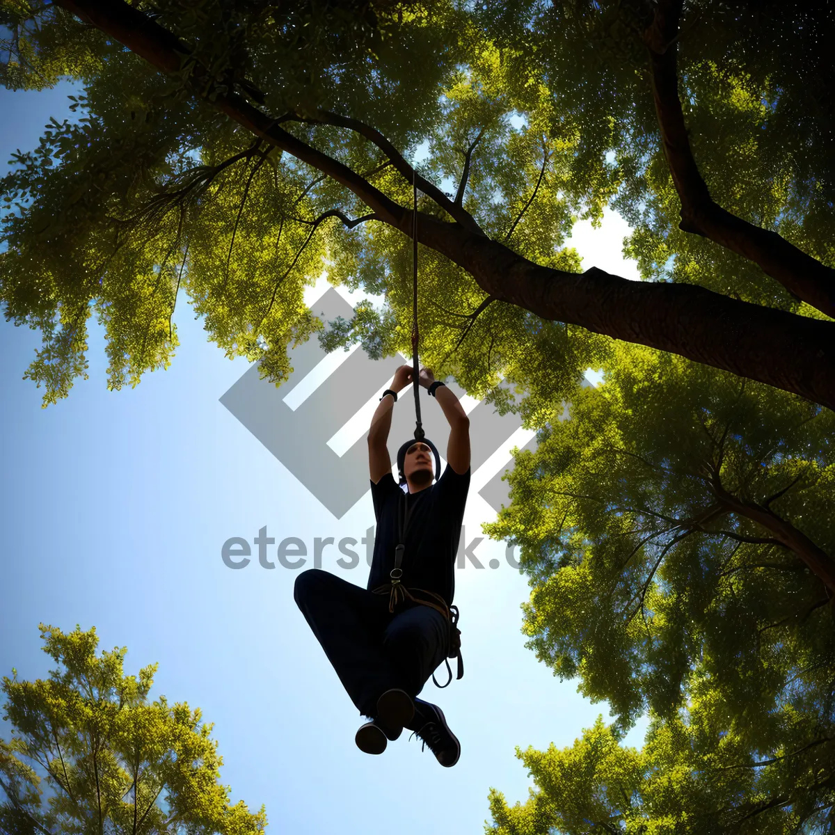 Picture of Swinging under the Sky