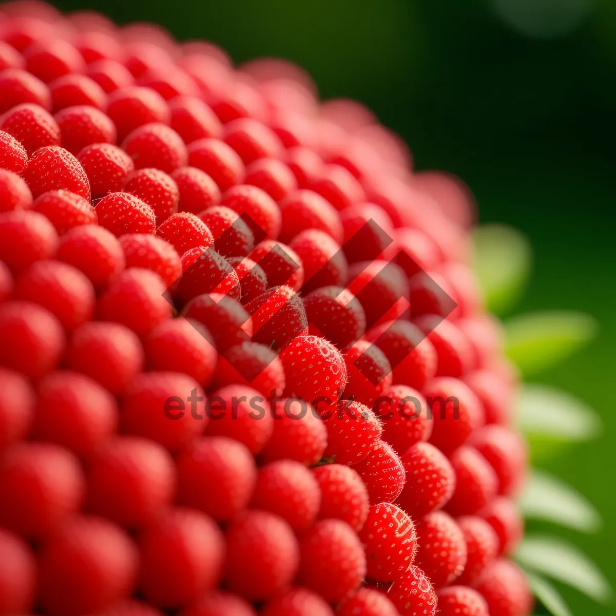 Picture of Juicy Raspberry Delight: Fresh and Healthy Summer Berry