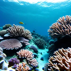 Colorful Reef Life in the Tropical Ocean