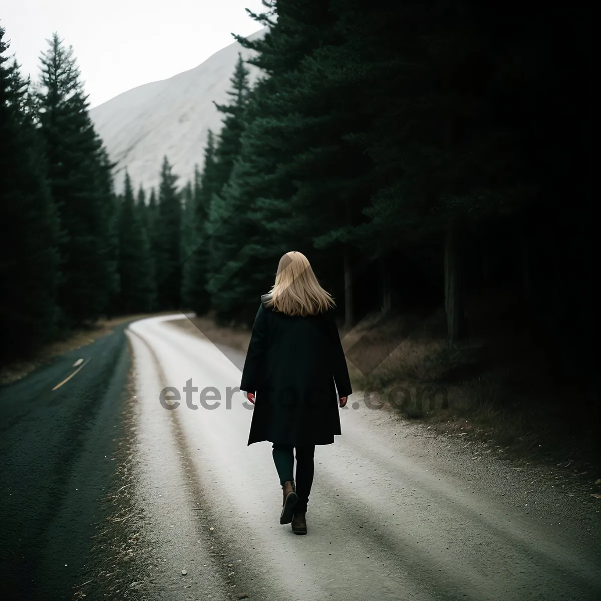 Picture of Enchanting Tree-lined Path: Serene Journey through Nature