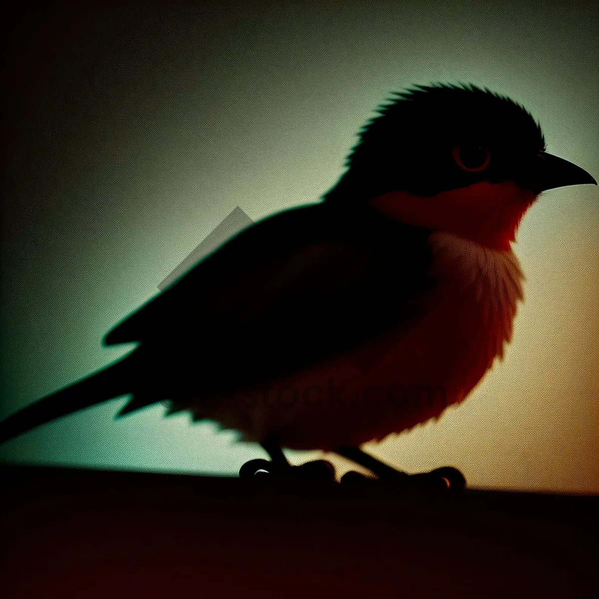 Picture of Wild Woodpecker: Majestic Feathers and Piercing Beak