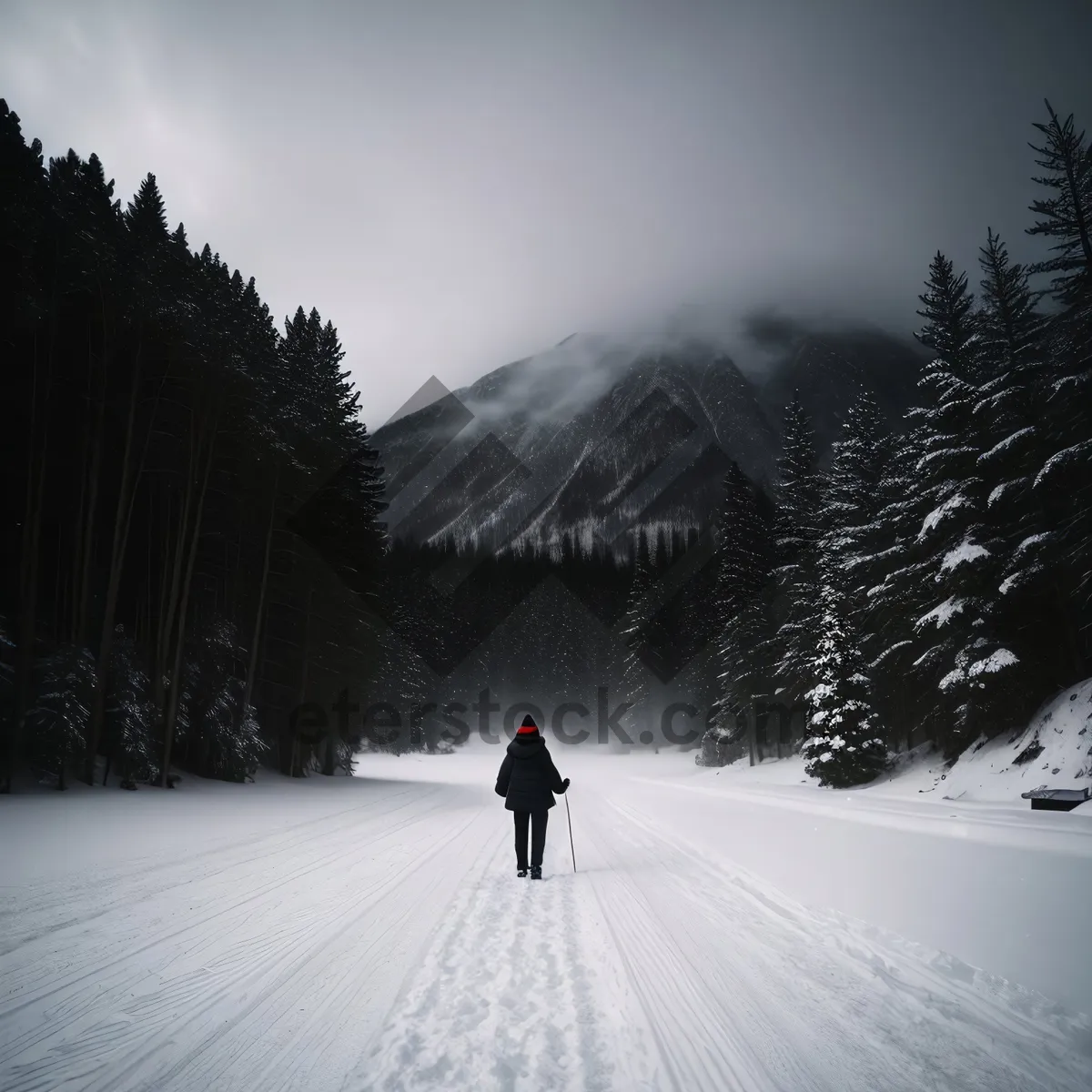 Picture of Winter Wonderland Ski Slope Adventure