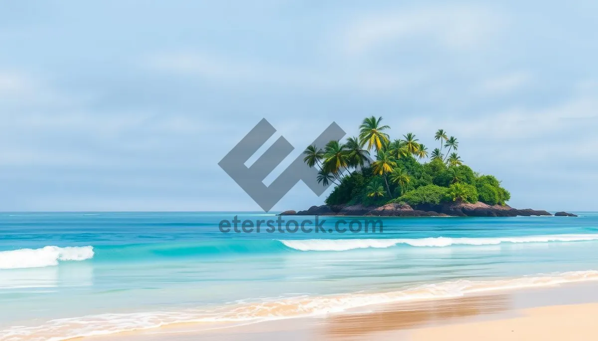 Picture of Tropical Beach Holiday Getaway Under Sunny Sky