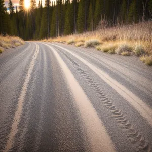 Scenic country road surrounded by lush landscapes