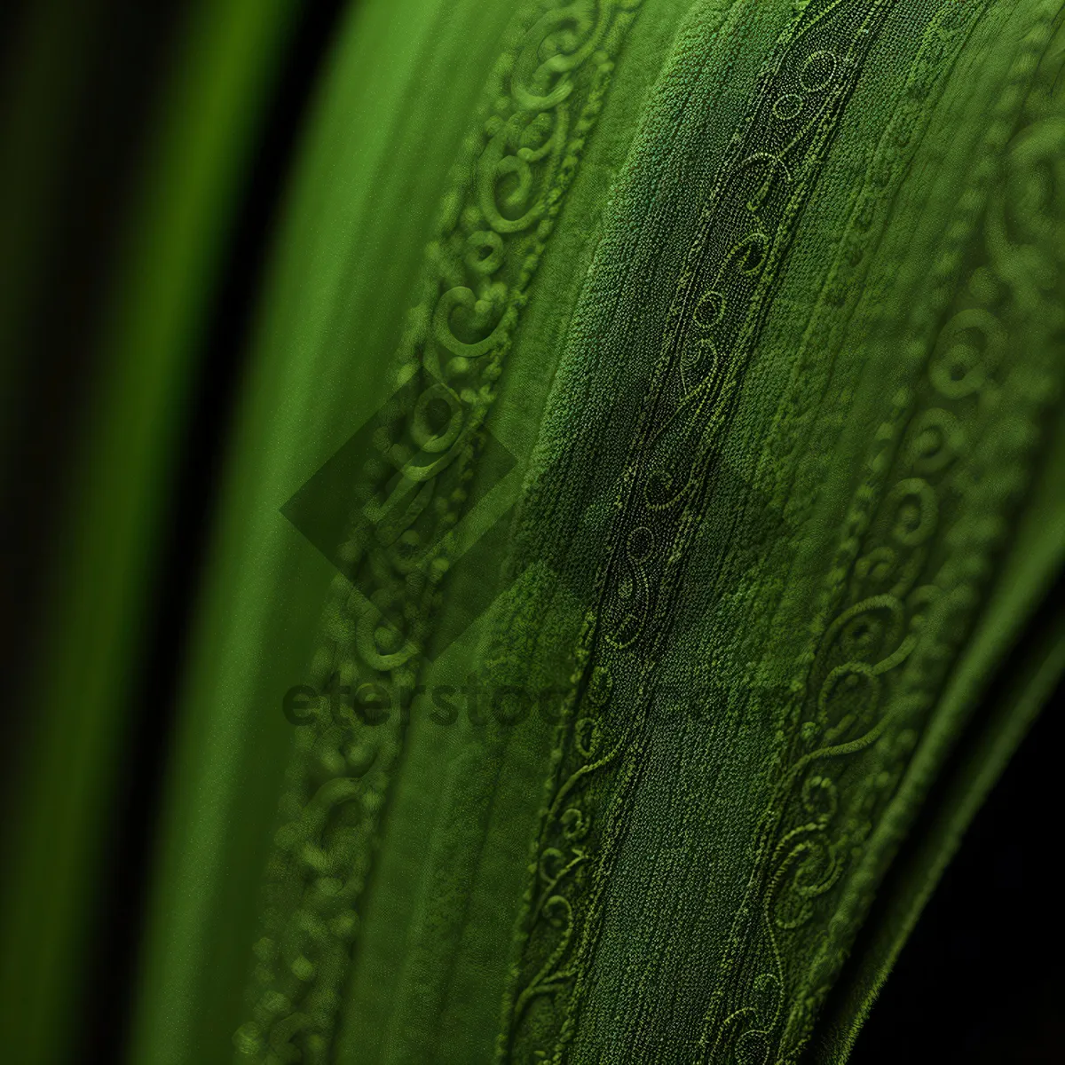 Picture of Vibrant Agave Leaf in a Desert Garden