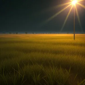 Radiant Sunset over Rural Landscape
