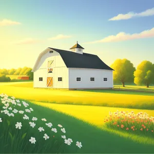 Rural Barn on a Sunny Meadow