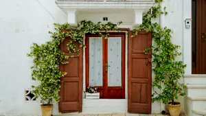 Antique wooden door on old house