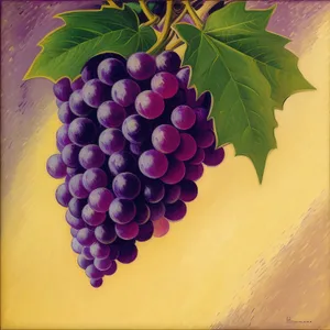 Autumn Harvest: Purple Concord Grapes at Vineyard