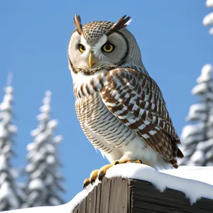 Intense Stare: Majestic Wildlife Bird In Yellow Plumage