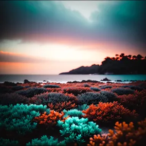 Sunset Over Serene Seascape - Tranquil Summer Evening