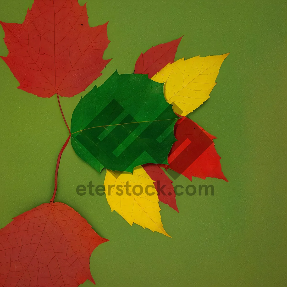 Picture of Vibrant Autumn Foliage in the Forest