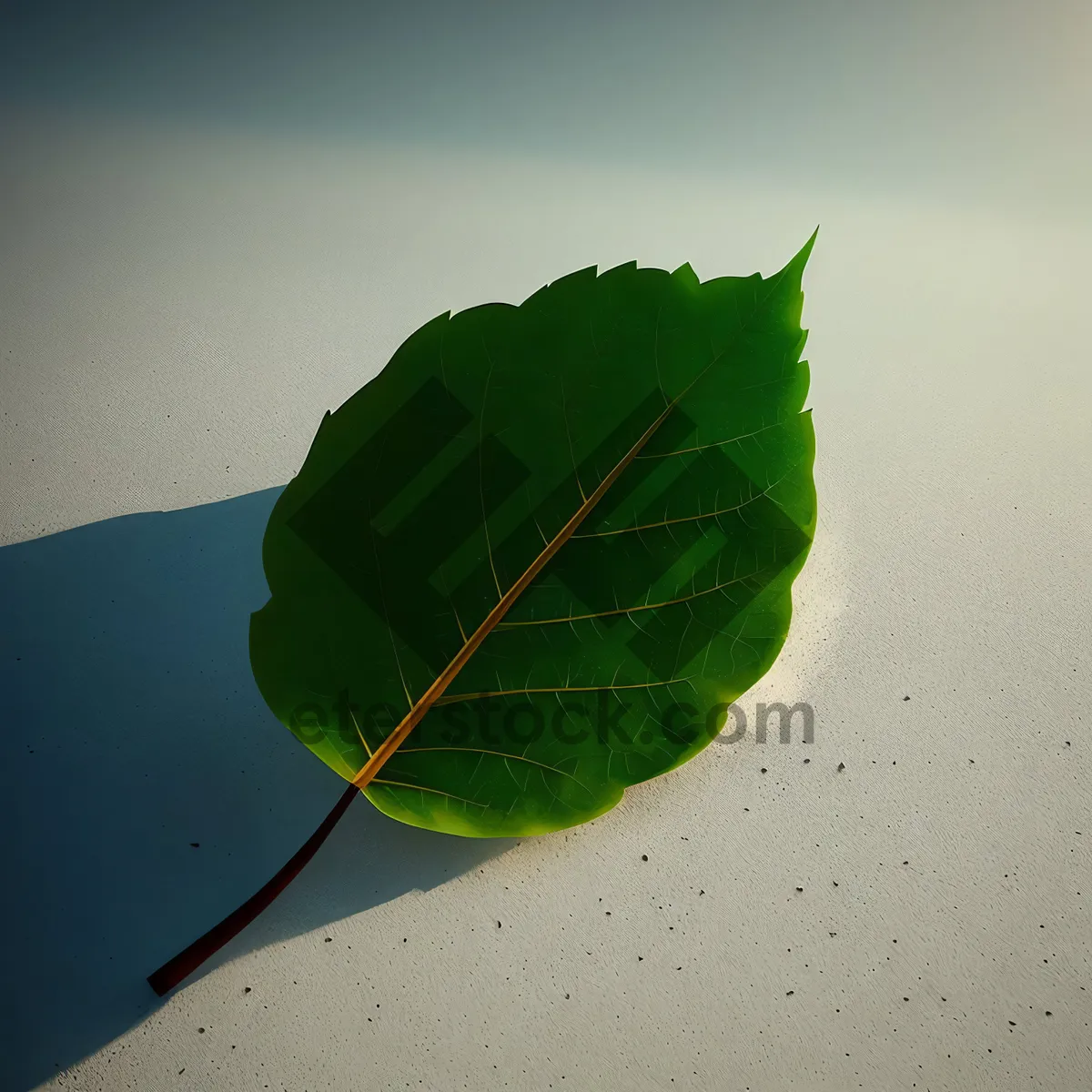 Picture of Vibrant Spring Leaves