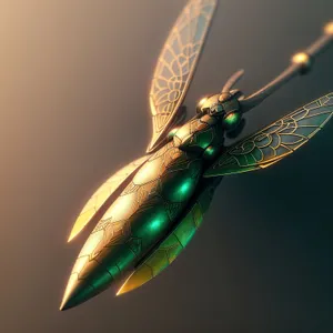 Close-up of Black Dragonfly's Intricate Wing