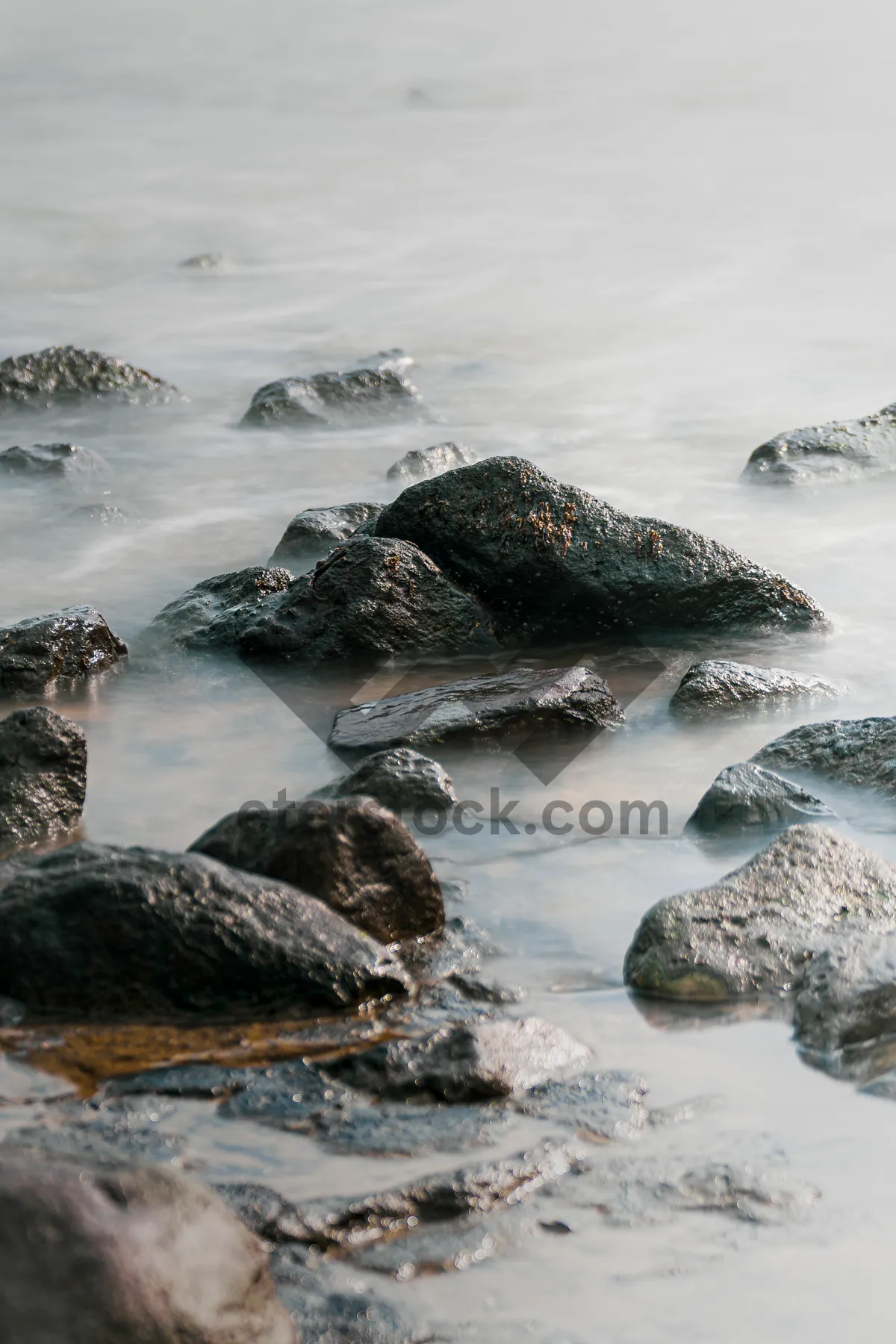 Picture of Sunny Beach Paradise with Rolling Waves and Seagulls