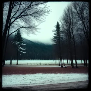 Winter Wonderland Bench by the Frozen Lake