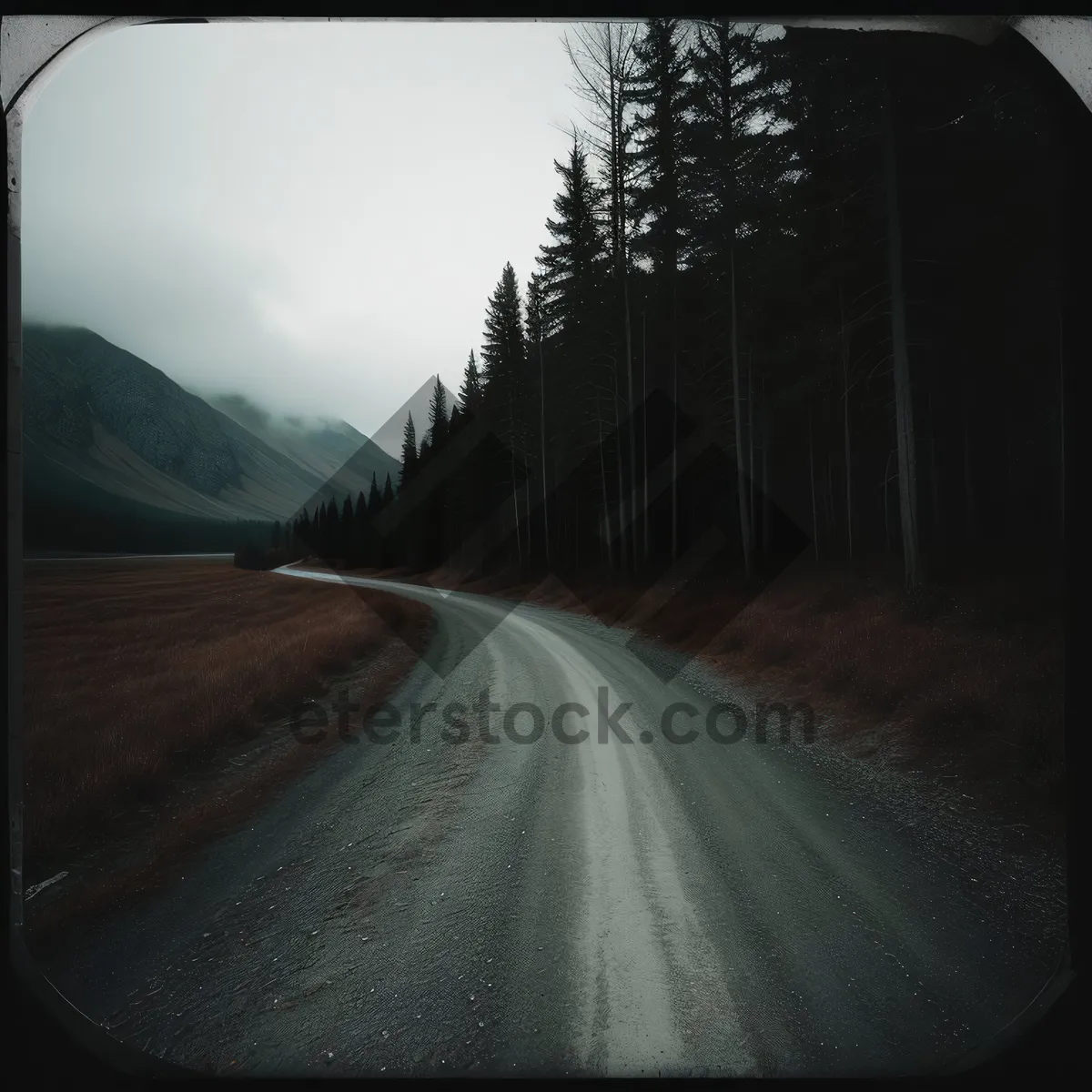 Picture of Speedy Drive: Car Mirror Reflecting Highway Landscape