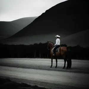 Stallion galloping in golden sunset.