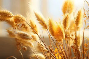 Golden Wheat Field in Rural Summer Landscape