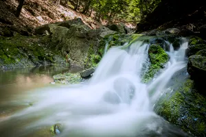 Serene waterfall in lush forest environment dipiction.