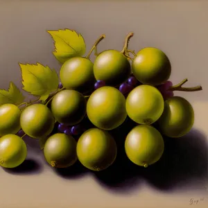 Juicy Grape Bunches - Freshly Picked and Organic