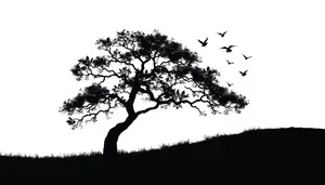 Sunny silhouette of oak tree in summer landscape