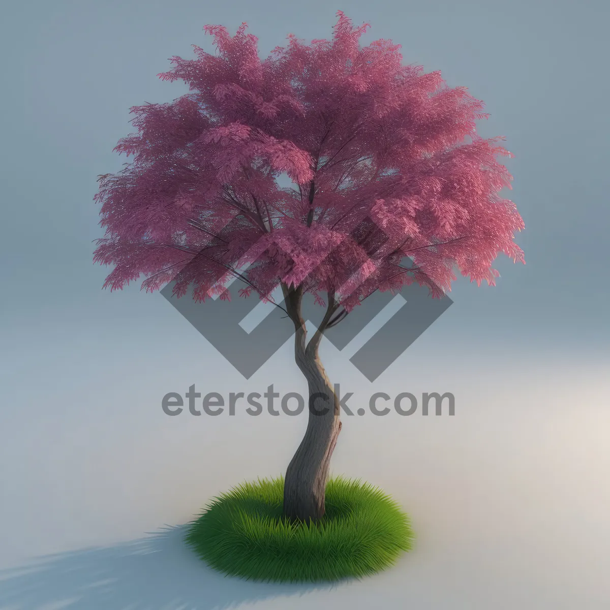 Picture of Miniature Pink Maple Leaf in Evergreen Garden