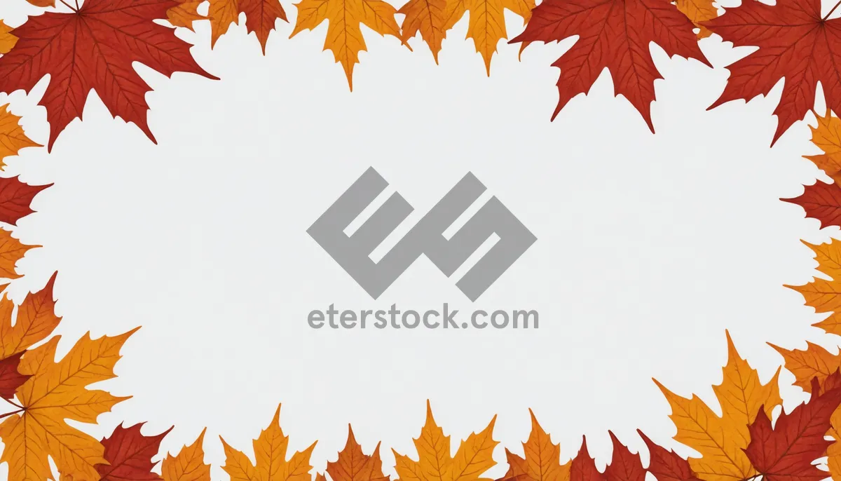 Picture of Colorful Autumn Leaf Border in Forest Frame