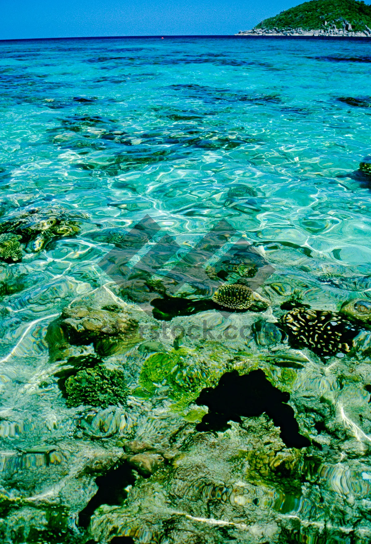 Picture of Tropical Paradise Beach with Turquoise Water and Sunny Sky. The colors and crystal clear water of the archipelago of the Similan Islands National Park, Thailand, Asia