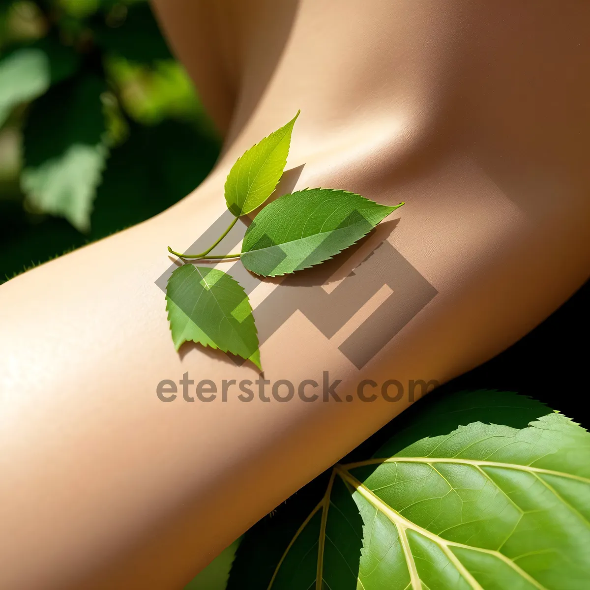 Picture of Lush Magnolia Leaf amidst Verdant Garden