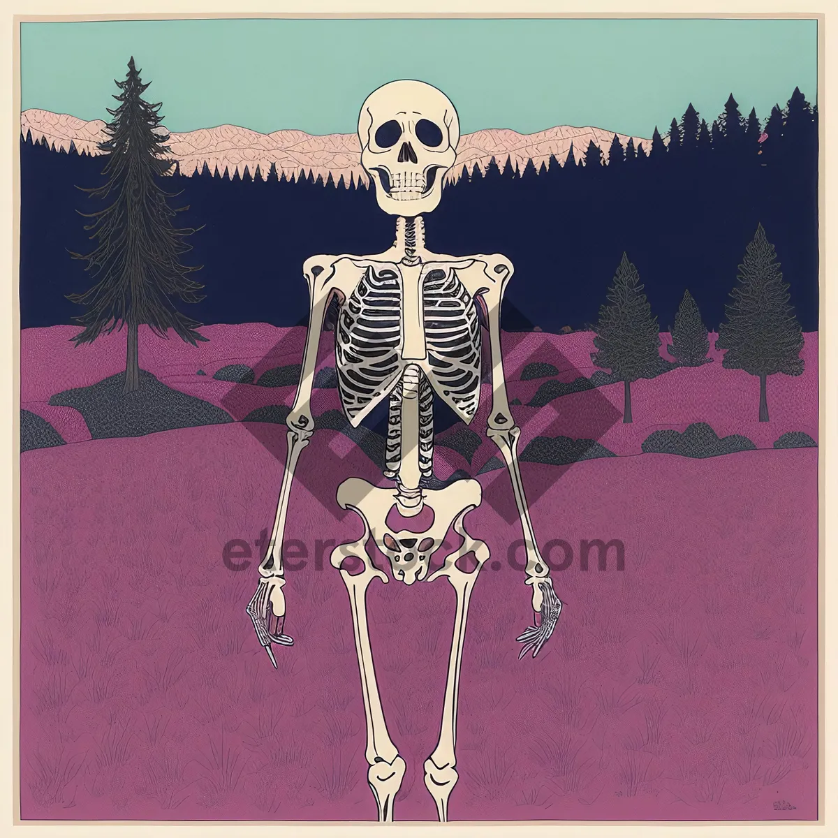 Picture of Human Skeleton X-Ray - Anatomical Health Charm