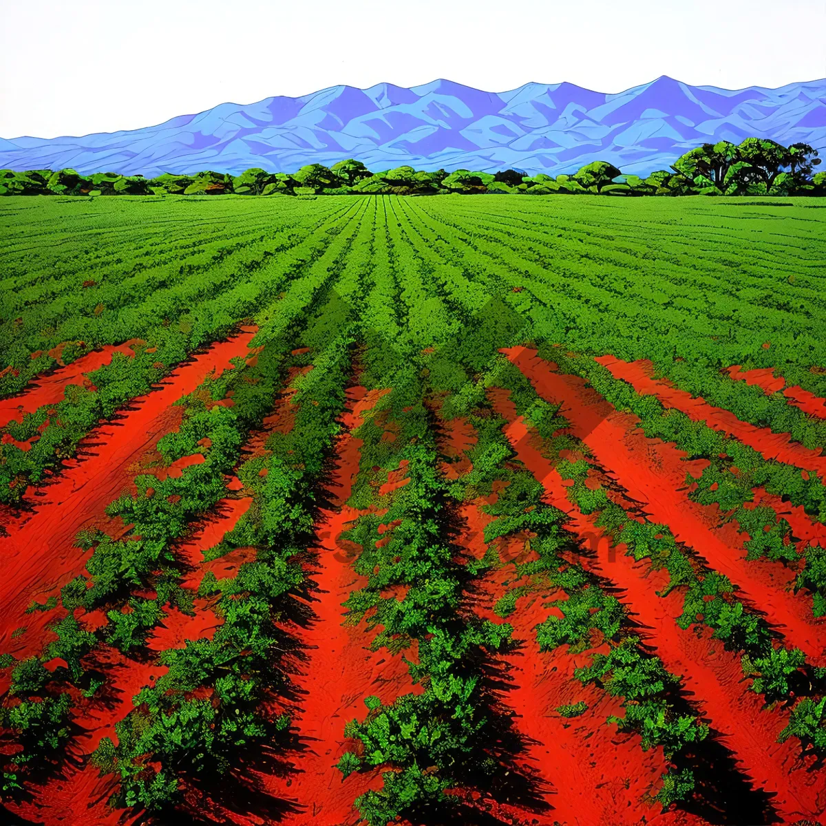 Picture of Bountiful Harvest: Abundant Farm Fields in the Countryside.