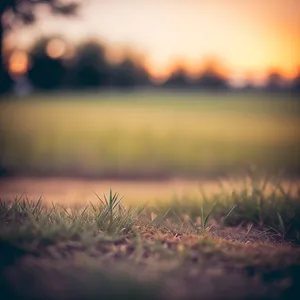 Majestic Horizon: A Vibrant Sunset over Fields"
or
"Golden Sunrise: Summer's Glowing Meadow"
or
"Radiant Sunset: Bursting Colors in the Sky"
or
"Tranquil Dusk: A Serene Countryside Vista"
or
"Sun-kissed Landscape: Blissful Summer Fields