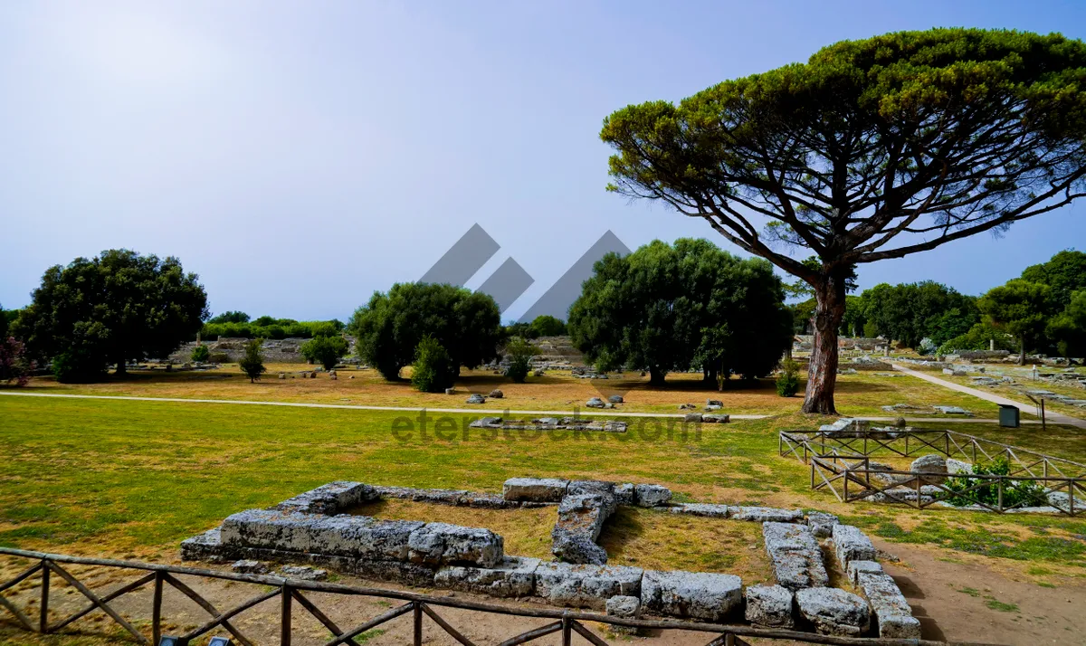 Picture of Peaceful cemetery under blue summer sky