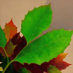 Vibrant Autumn Foliage at the Maple Garden.