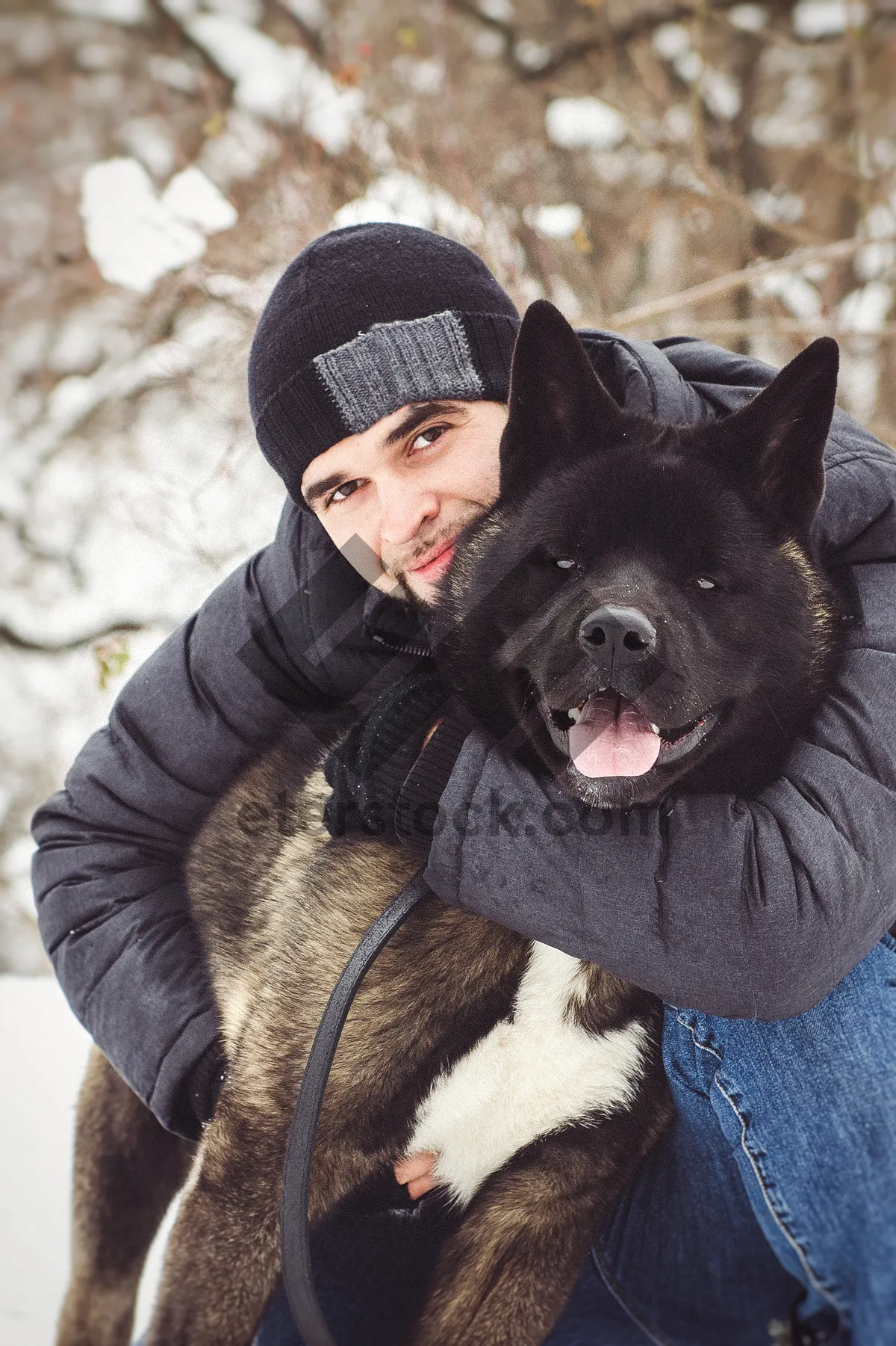 Picture of Cute Black Dog in Winter Snow