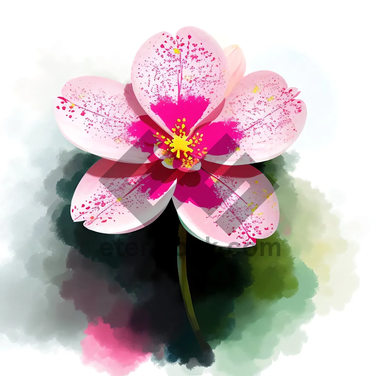 Picture of Blossoming Pink Orchid: Spa Flora's Delight