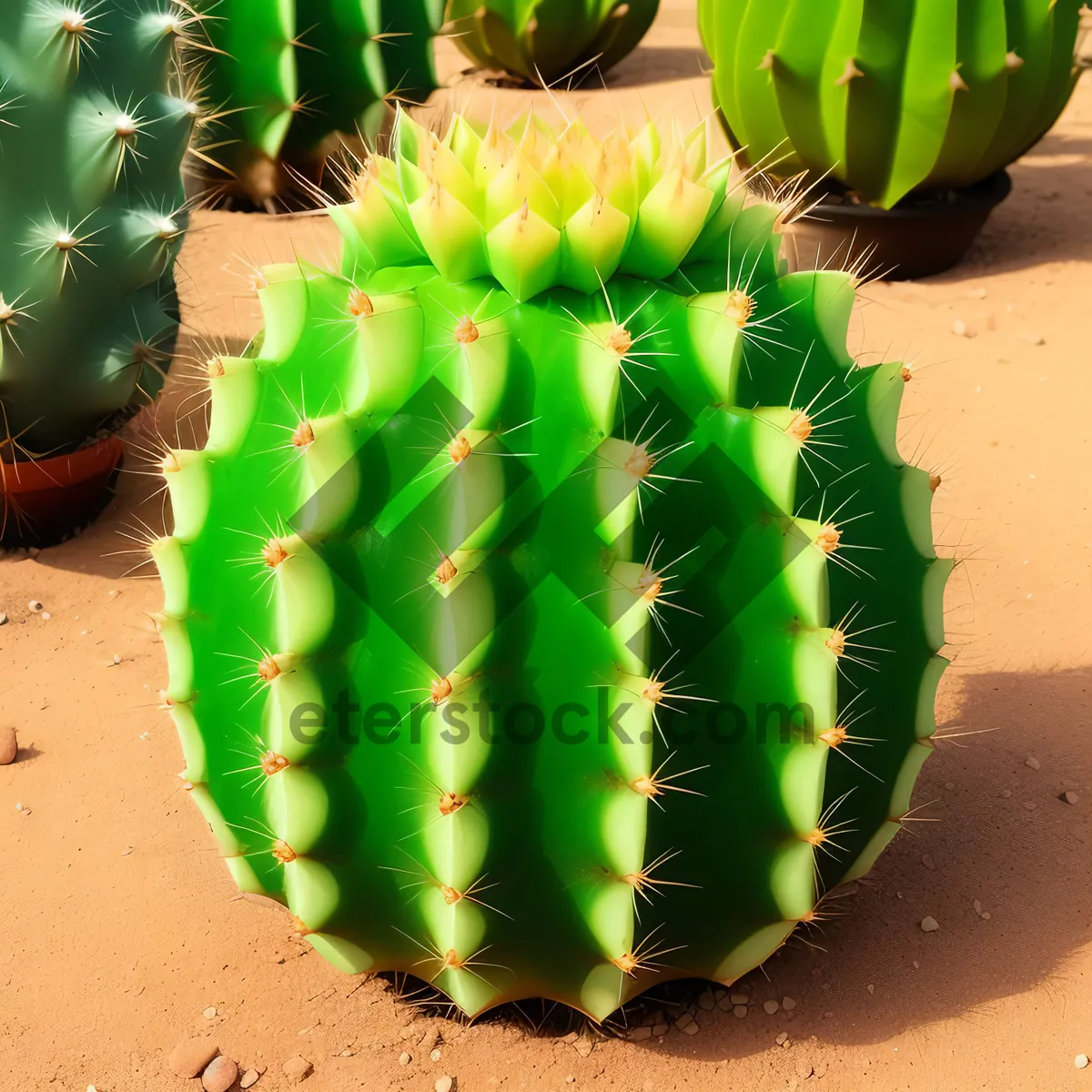 Picture of Delicious Tropical Fruit Slice - Nutritious Refreshment