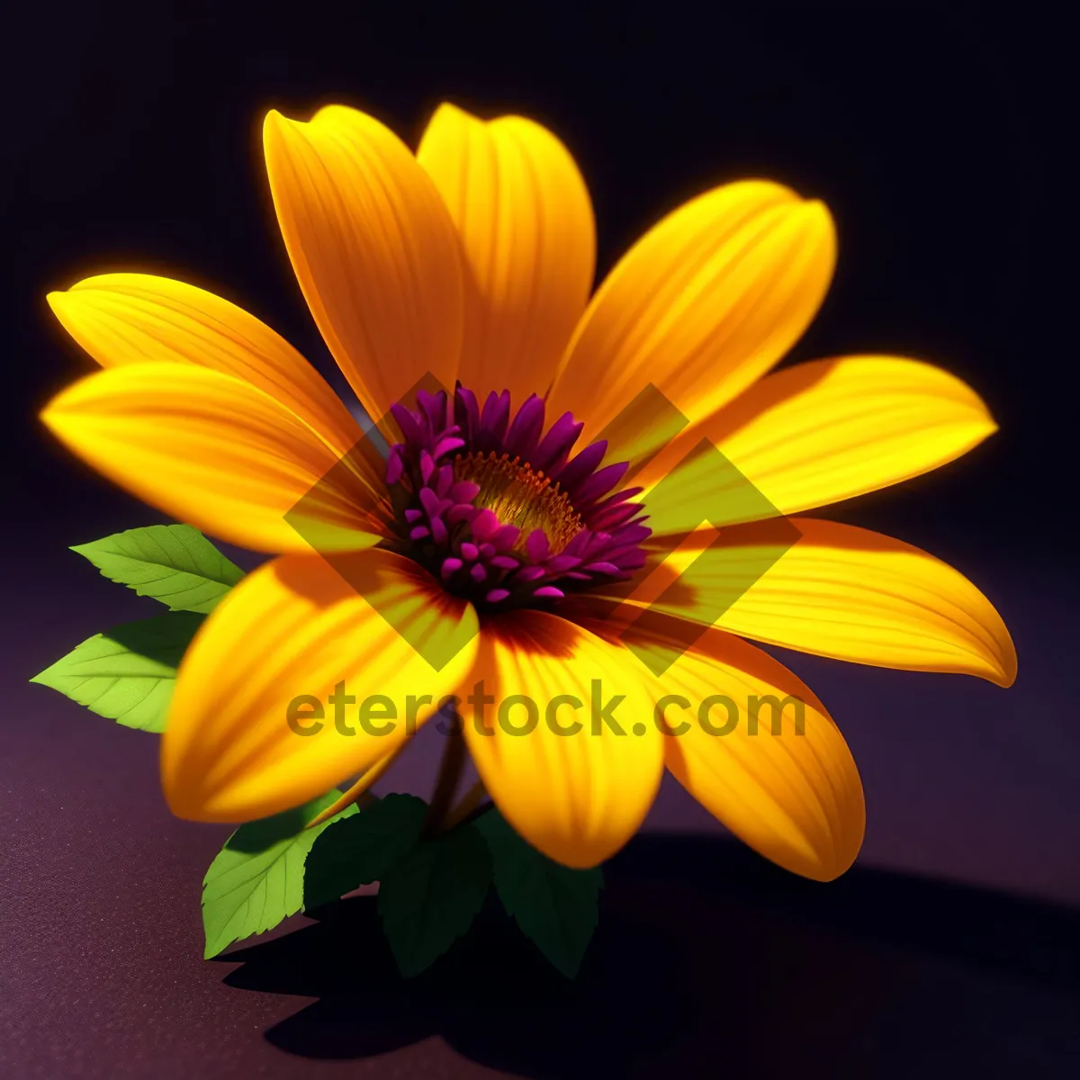 Picture of Bright Sunflower Blossom in Vibrant Garden