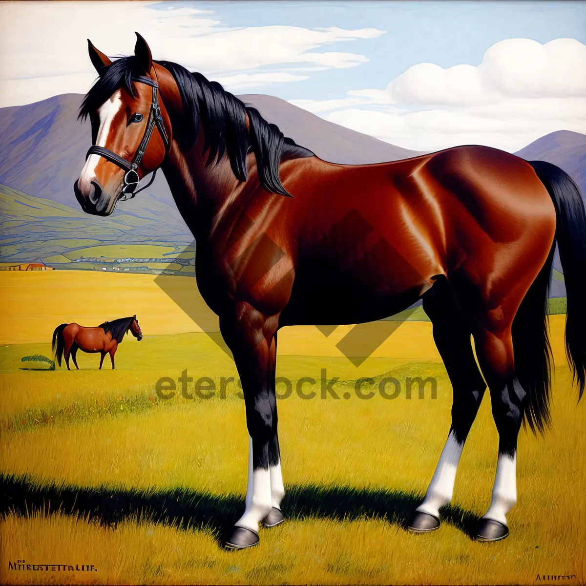 Picture of Thoroughbred Stallion in Meadow Grazing