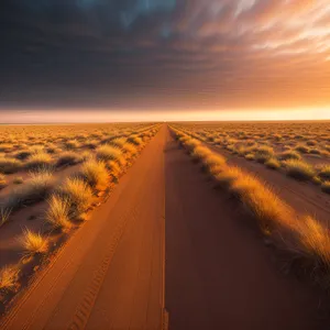 Sandy Horizon at Sunset: Road-tripping into the Scenic Desert