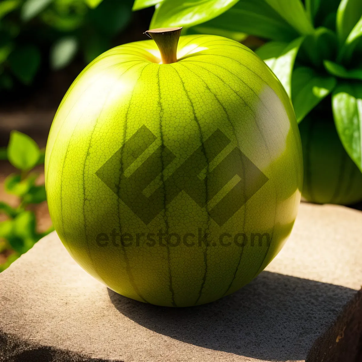 Picture of Fresh and Healthy Apple Fruit on Ground