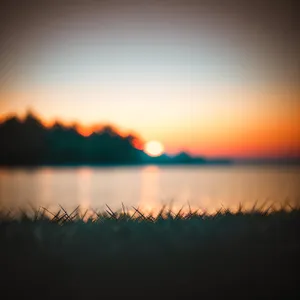 Golden Horizon: Majestic Sunrise Over Calm Ocean