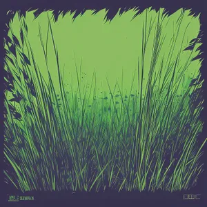 Lush Field of Aquatic Tape Grass in Vibrant Summer