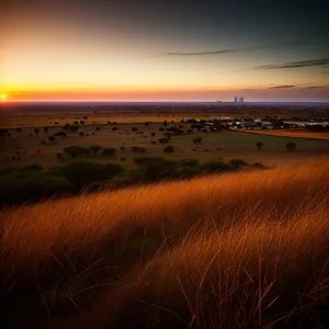 Golden Seascape: Sunset Over Beach Horizon