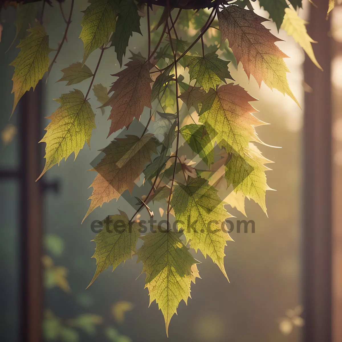 Picture of Sunlit Maple Branch in Lush Forest