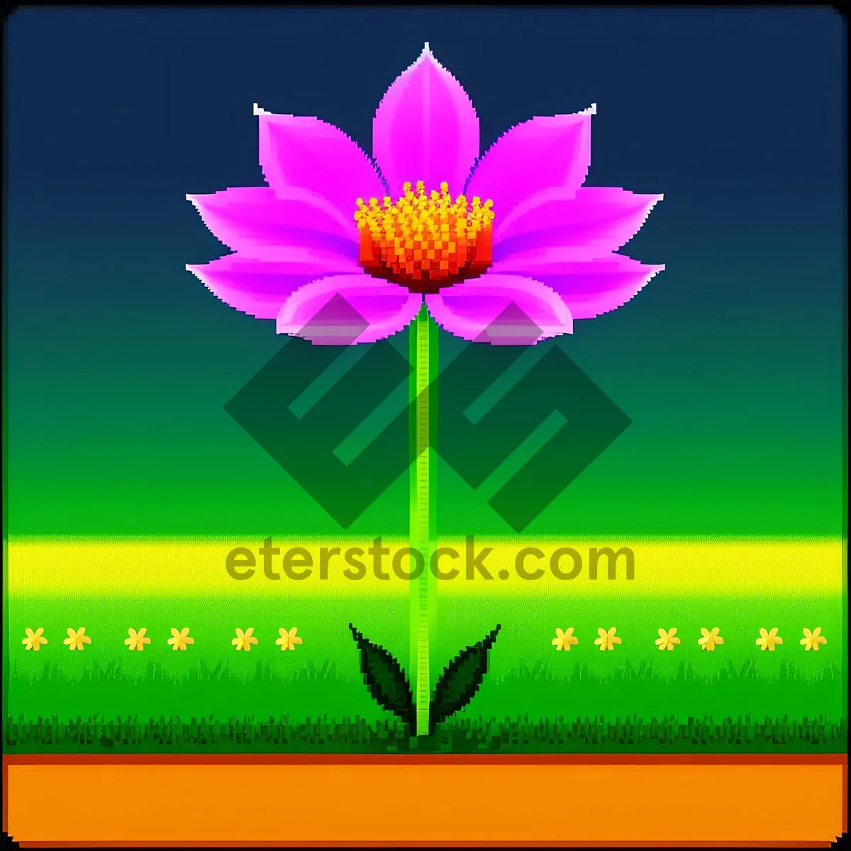 Picture of Pink Lotus Blossom in Full Bloom