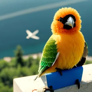 Vibrant Macaw Perched With Tropical Feathers